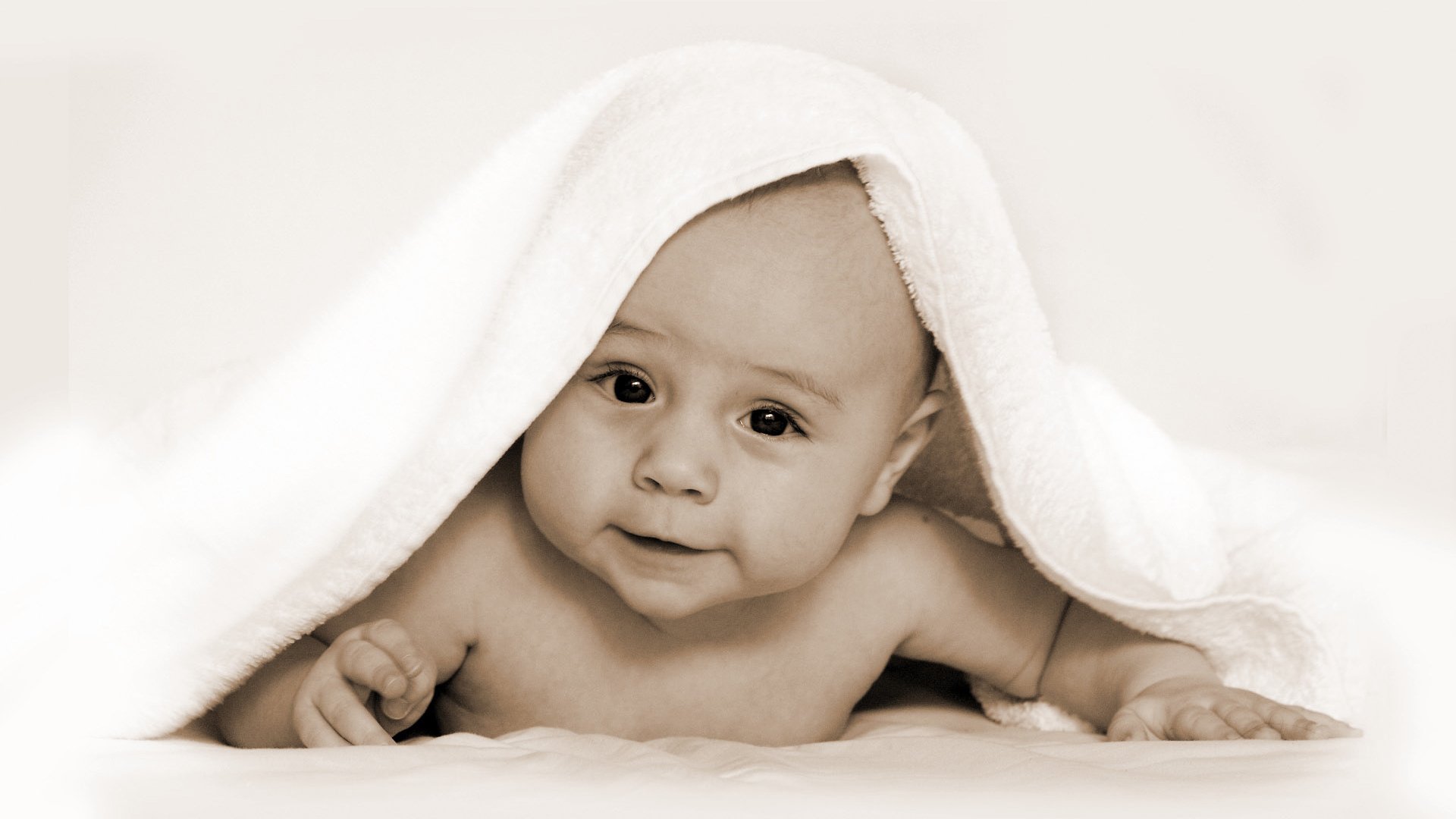 呼和浩特供卵助孕试管婴儿二代成功率